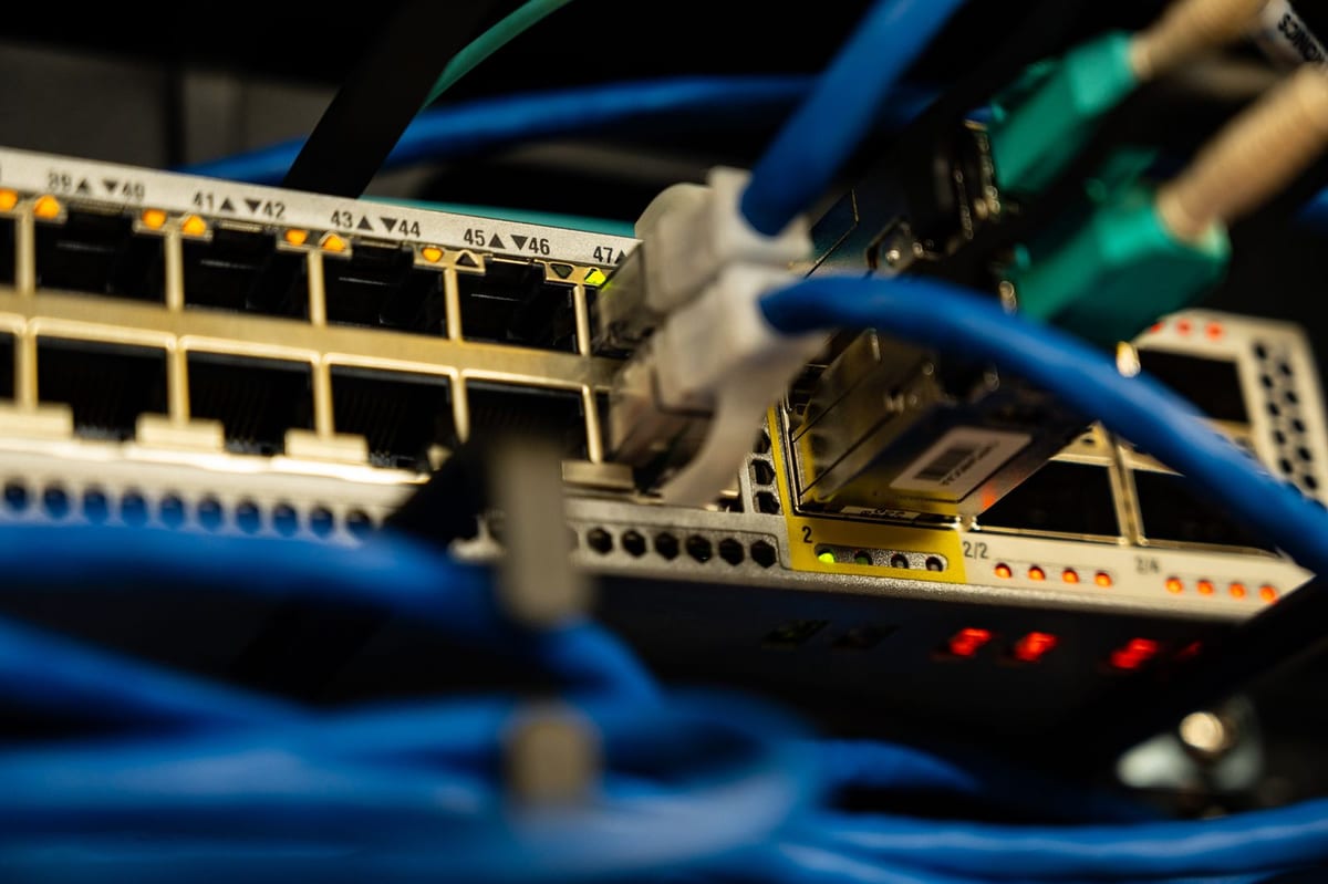 A network switch patch panel with cables plugged in